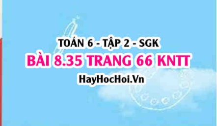 Bài 8.35 trang 66 Toán 6 Tập 2 Kết nối tri thức